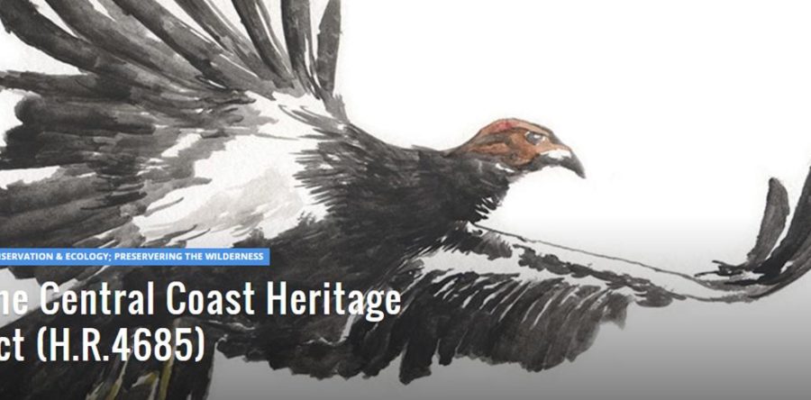 CCHPA: Coyote and Thunder