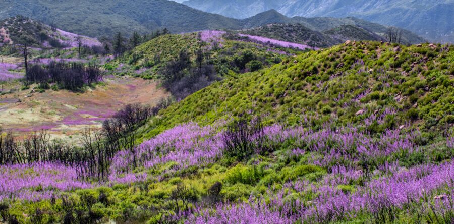 HOUSE OF REPRESENTATIVES PASSES CENTRAL COAST LANDS AND RIVERS PROTECTIONS