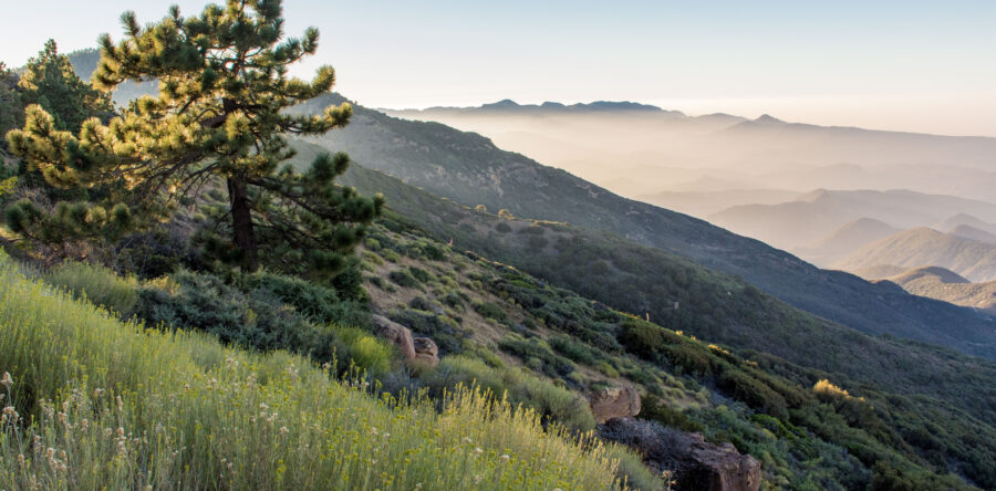 SENATOR PADILLA CHAMPIONS PROTECTIONS FOR CENTRAL COAST LANDS AND RIVERS