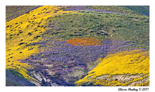 Lawmakers Introduce Bill to Protect Central CA Wilderness