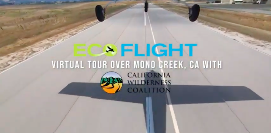 MONO CREEK FLYOVER VIDEO